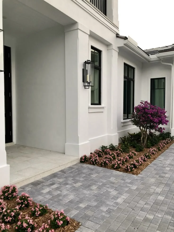 دهانات خارجية - مشروع 46